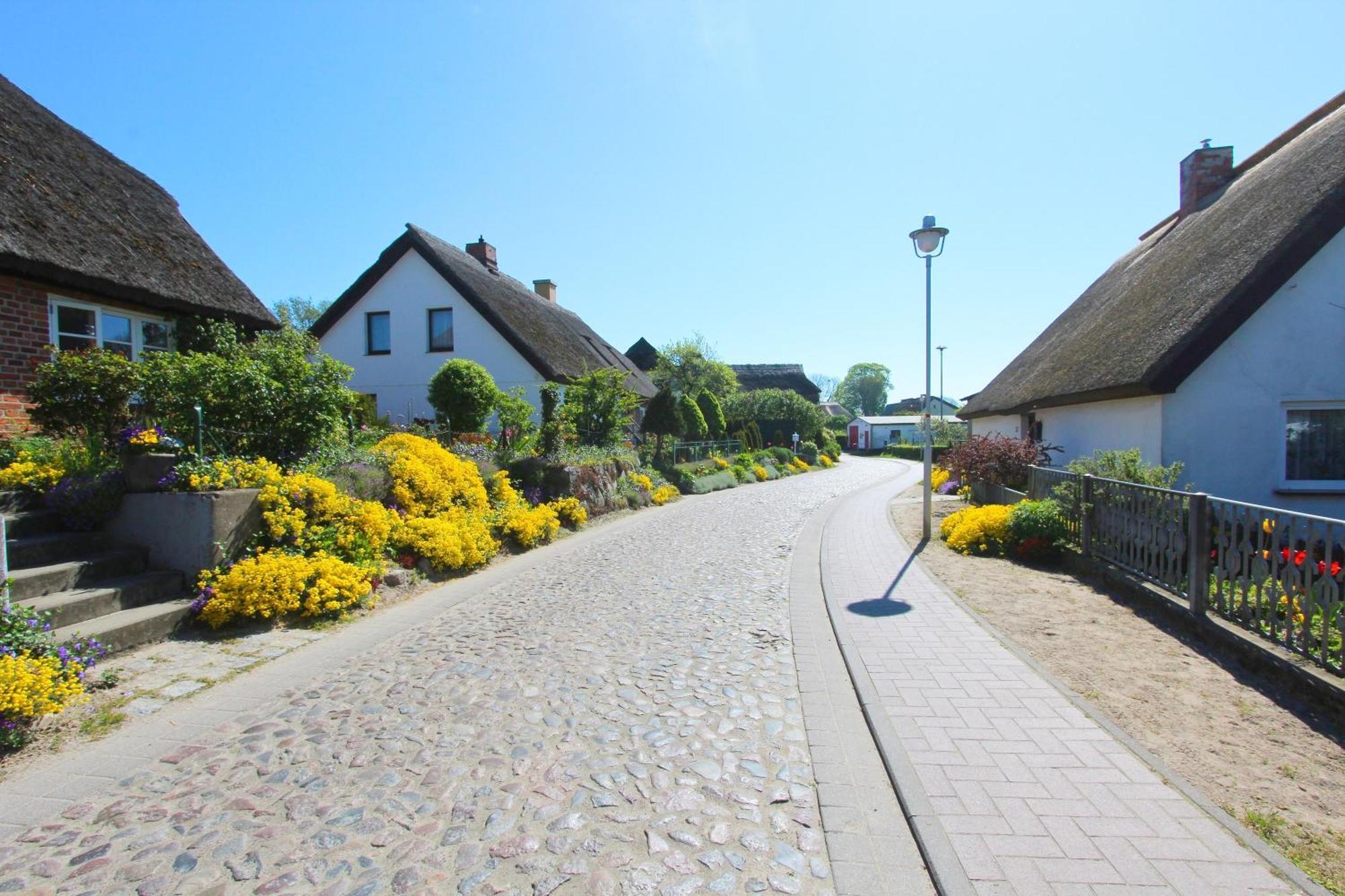 Ferienhaus Distelfink Fewo 04 Terrasse, Meerblick Groß Zicker Exterior foto